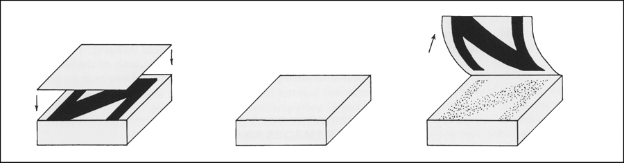 Stages of Planographic Printing